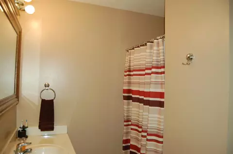 2484 Pine Tree Rd, Holt, MI 48842 photo 12