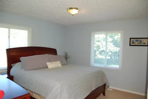 2484 Pine Tree Rd, Holt, MI 48842 photo 10