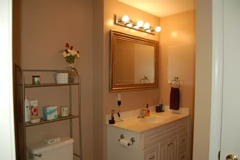2484 Pine Tree Rd, Holt, MI 48842 photo 11