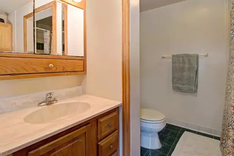 10590 Macon Hwy, Tecumseh, MI 49286 photo 24