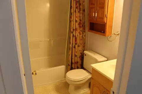 311 Clark St, Saline, MI 48176 photo 7