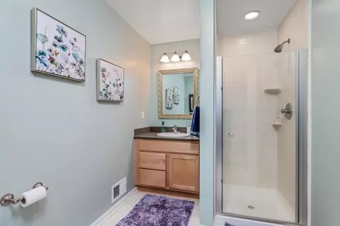 6405 Brookview Dr, Saline, MI 48176 photo 39