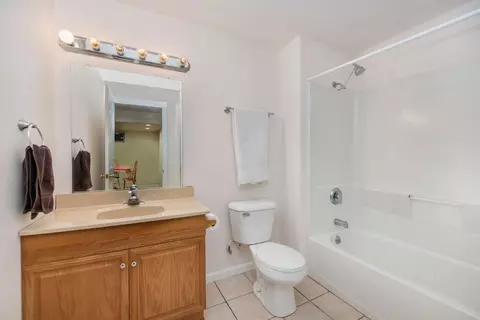 3433 Huron View Ct, Dexter, MI 48130 photo 25