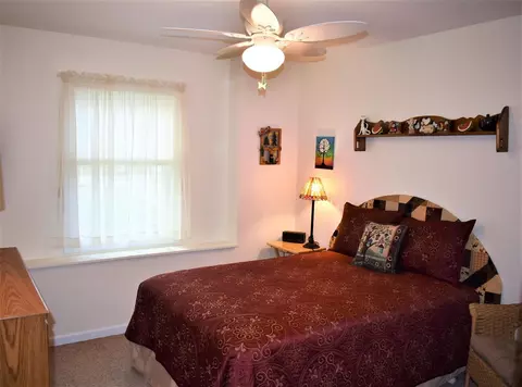 250 Sidney St, Dundee, MI 48131 photo 20