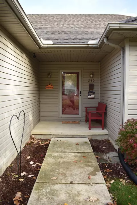 250 Sidney St, Dundee, MI 48131 photo 2