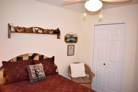 250 Sidney St, Dundee, MI 48131 photo 21