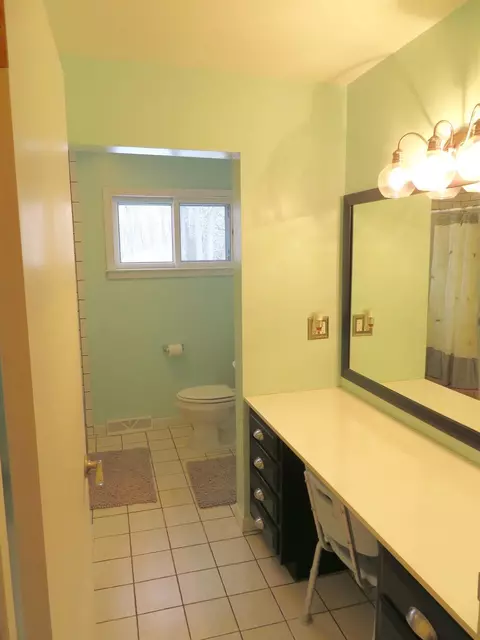 461 E Monroe St, Dundee, MI 48131 photo 21