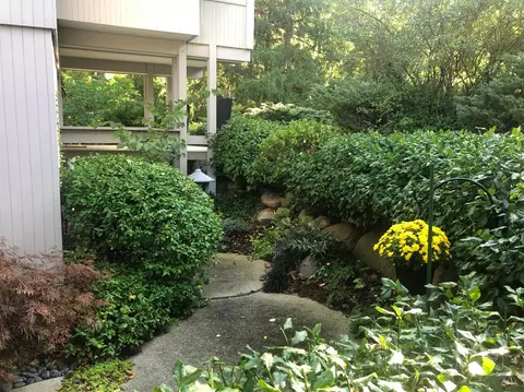 2901 Devonshire Rd, Ann Arbor, MI 48104 photo 6