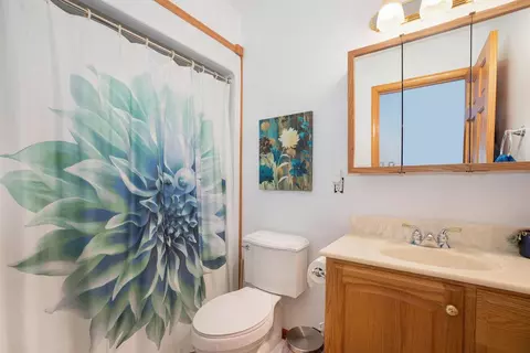11908 Hannewald Rd, Munith, MI 49259 photo 9