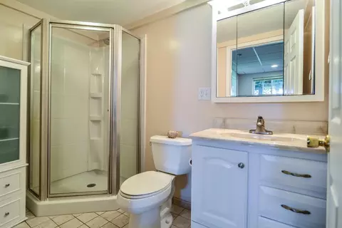 4745 Birch Ln, Dexter, MI 48130 photo 36