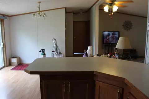 6670 Coonhill Rd, Munith, MI 49259 photo 5