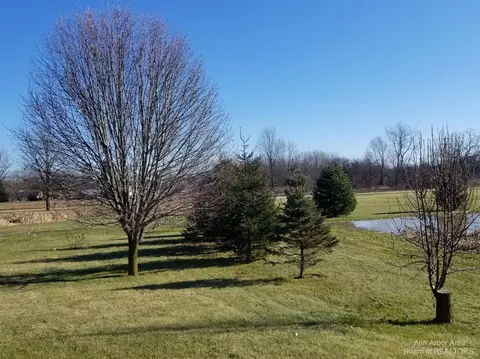 11270 Hitchingham Rd, Milan, MI 48160 photo 65
