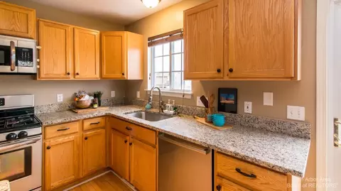 3607 Noble Dr, Dexter, MI 48130 photo 19