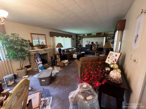 150 Mechanic St, Dundee, MI 48131 photo 22