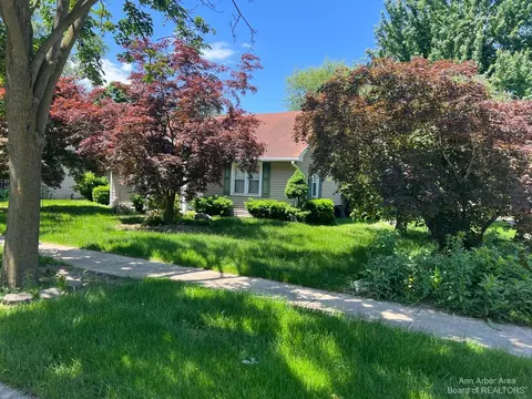 150 Mechanic St, Dundee, MI 48131 photo 5