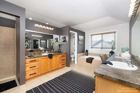 6860 N Meadows Pass, Dexter, MI 48130 photo 45