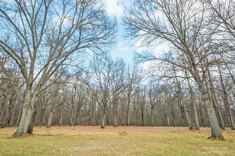 10381 Bunton, Willis, MI 48191 photo 15