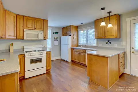 7955 Third St, Dexter, MI 48130 photo 8
