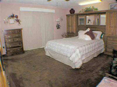 12811 Alma, Other, MI 48417 photo 10