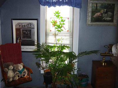 415 E Huron, Other, MI 48768 photo 10
