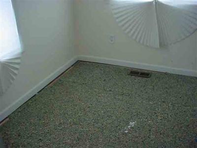 1133 Terry Ave, Other, MI 48458 photo 5