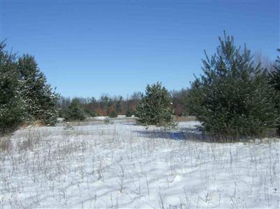 10193 Mt Morris, Other, MI 48463 photo 3