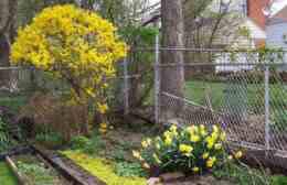 2762 Thomas St, Other, MI 48504 photo 3
