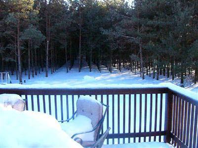 8511 W Frances, Other, MI 48433 photo 10