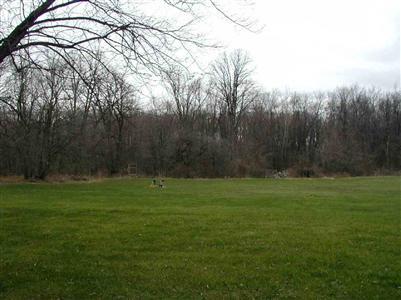 2256 W Thompson, Fenton, MI 48430 photo 5