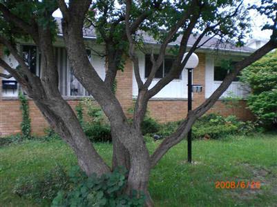 1709 Barbara Dr, Other, MI 48504 photo 1