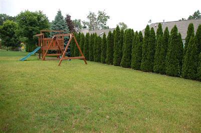 2375 Summit Cedar Dr, Other, MI 48855 photo 4