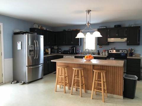 6051 Bancroft Rd, Bancroft, MI 48414 photo 5