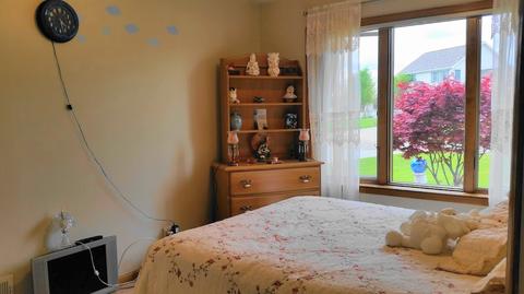 2368 Stepping Stone Pass, Flushing, MI 48433 photo 20