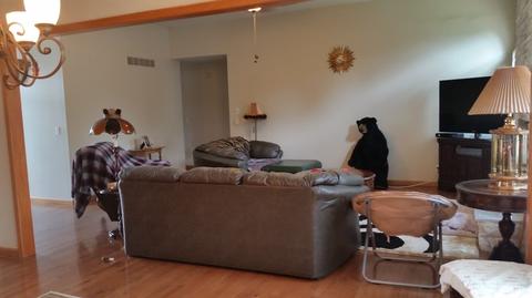 2368 Stepping Stone Pass, Flushing, MI 48433 photo 11