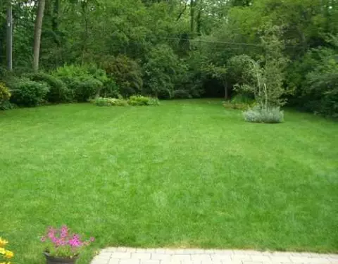 2541 Devonshire, Ann Arbor, MI 48104 photo 10