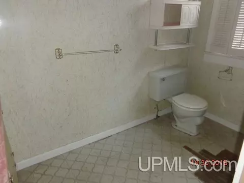 507 Vine, Ishpeming, MI 49849 photo 7