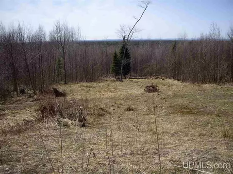 8045 N Billie Helmer, Deerton, MI 49822 photo 25