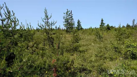 2160 Co Rd Ccp, Ishpeming, MI 49849 photo 23