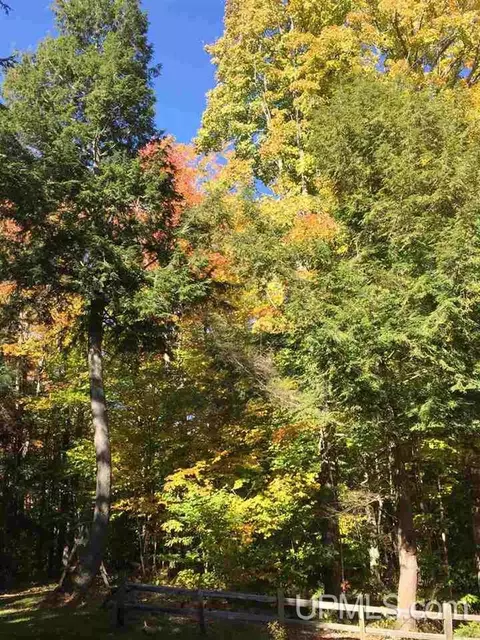n6991 Olson Road, Shingleton, MI 49884 photo 30