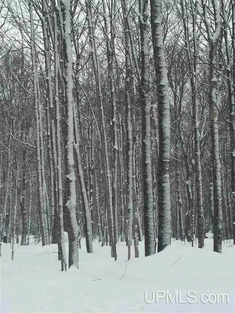 n6991 Olson Road, Shingleton, MI 49884 photo 35