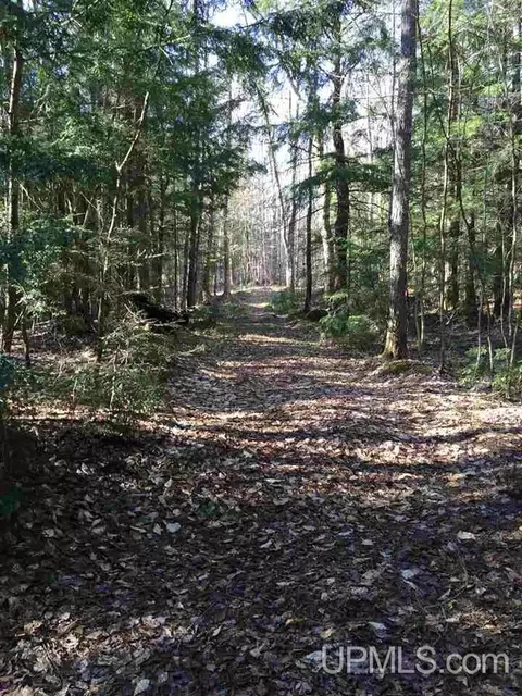 n6991 Olson Road, Shingleton, MI 49884 photo 33