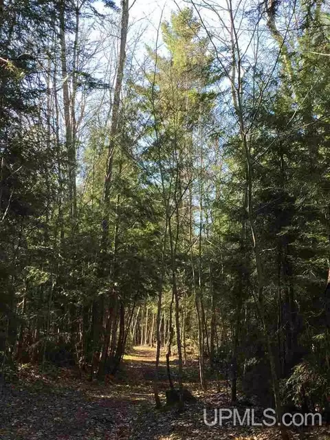 n6991 Olson Road, Shingleton, MI 49884 photo 34