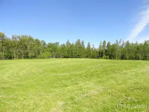 1378 Sa, Cornell, MI 49818 photo 29