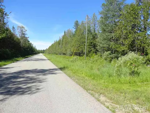 1378 Sa, Cornell, MI 49818 photo 34