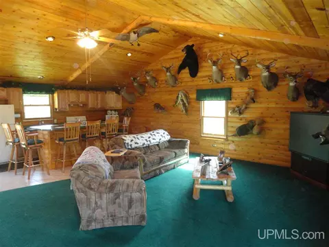 1378 Sa, Cornell, MI 49818 photo 8