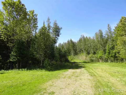 1378 Sa, Cornell, MI 49818 photo 30