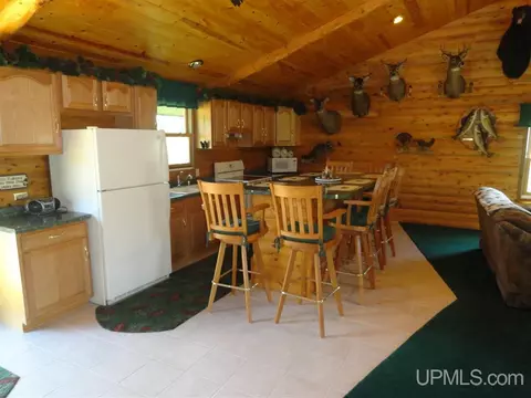 1378 Sa, Cornell, MI 49818 photo 12