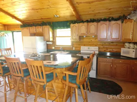 1378 Sa, Cornell, MI 49818 photo 11