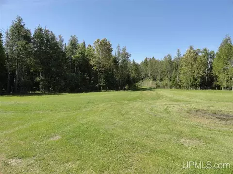 1378 Sa, Cornell, MI 49818 photo 26