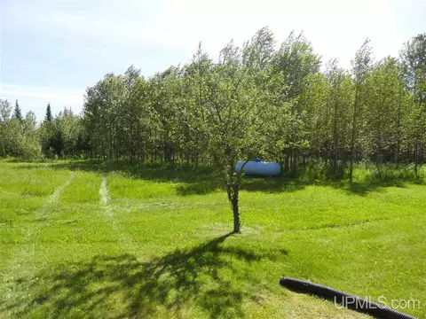 1378 Sa, Cornell, MI 49818 photo 22